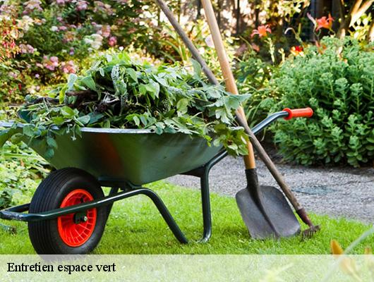 Entretien espace vert  78400