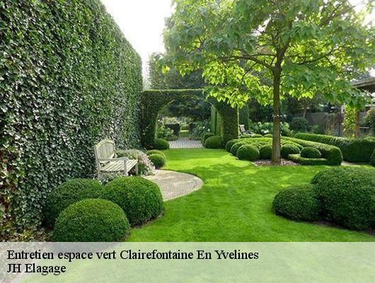 Entretien espace vert  78120