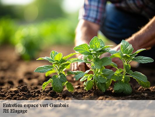 Entretien espace vert