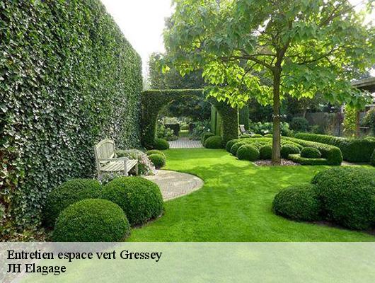 Entretien espace vert  78550