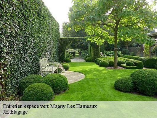 Entretien espace vert  78114