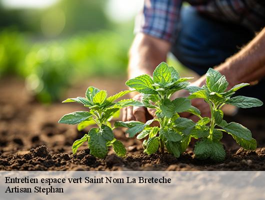 Entretien espace vert