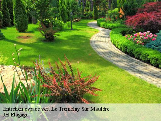 Entretien espace vert  le-tremblay-sur-mauldre-78490 JH Elagage