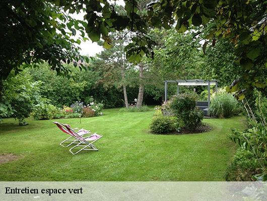 Entretien espace vert