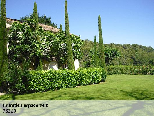 Entretien espace vert
