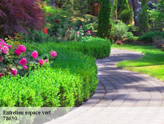 Entretien espace vert  78650
