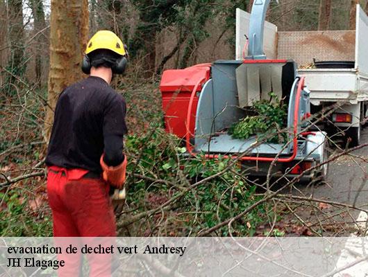 evacuation de dechet vert   78570