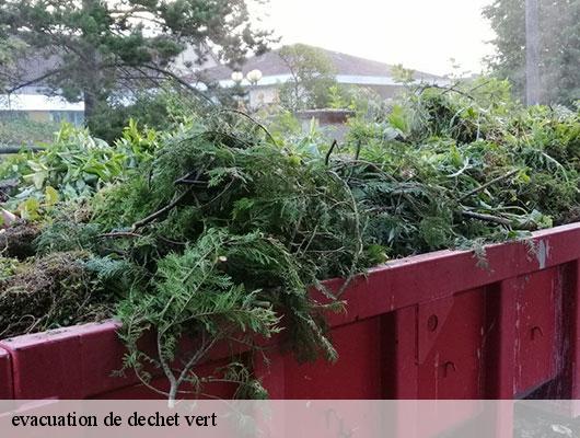 evacuation de dechet vert   78570