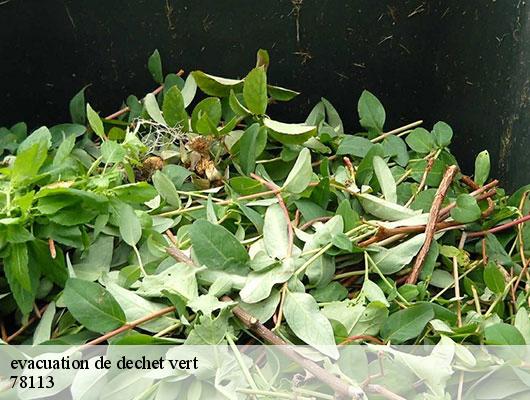 evacuation de dechet vert   78113