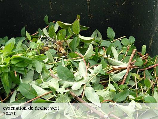 evacuation de dechet vert   78470
