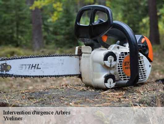 Intervention d'urgence Arbres Yvelines 