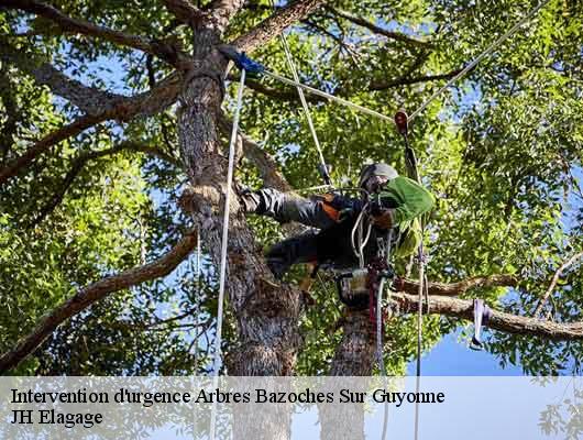 Intervention d'urgence Arbres  bazoches-sur-guyonne-78490 JH Elagage
