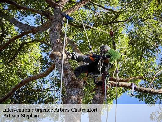 Intervention d'urgence Arbres chateaufort-78117 Artisan Stephan