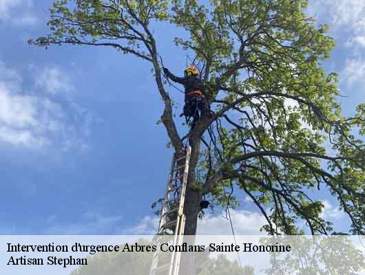 Intervention d'urgence Arbres  78700