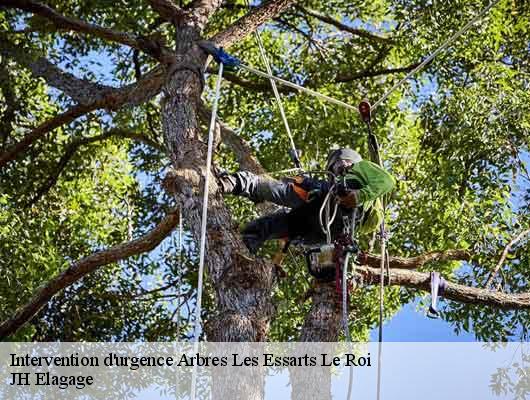 Intervention d'urgence Arbres  les-essarts-le-roi-78690 JH Elagage