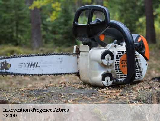 Intervention d'urgence Arbres  78200