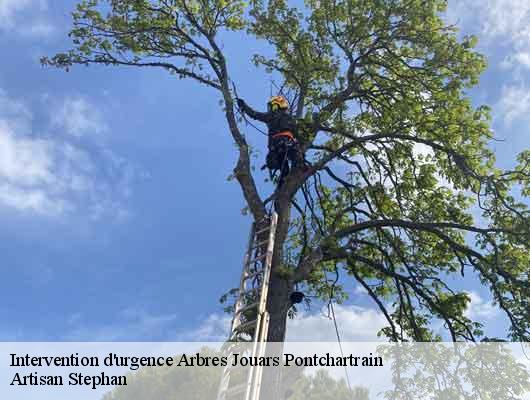 Intervention d'urgence Arbres 78760