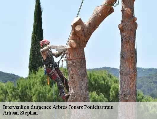 Intervention d'urgence Arbres
