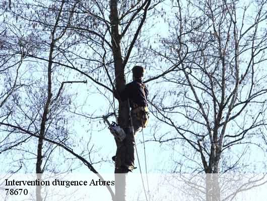 Intervention d'urgence Arbres 78670