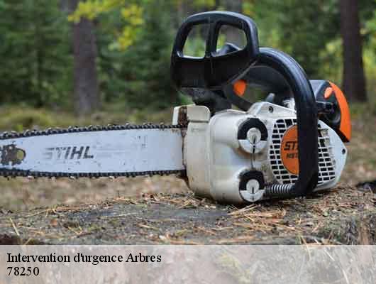 Intervention d'urgence Arbres  78250