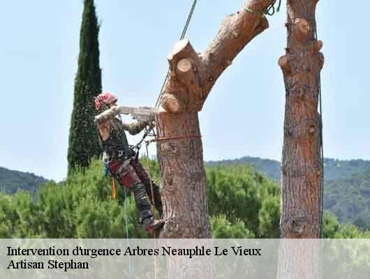 Intervention d'urgence Arbres