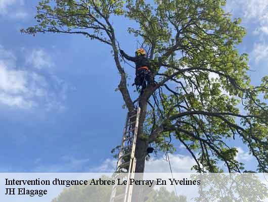 Intervention d'urgence Arbres  78610