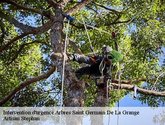 Intervention d'urgence Arbres saint-germain-de-la-grange-78640 Artisan Stephan