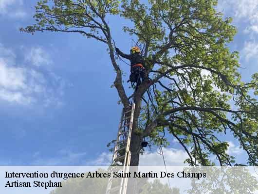 Intervention d'urgence Arbres 78790