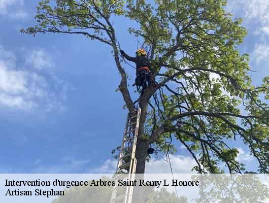 Intervention d'urgence Arbres 78690