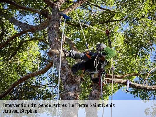 Intervention d'urgence Arbres  le-tertre-saint-denis-78980 Artisan Stephan