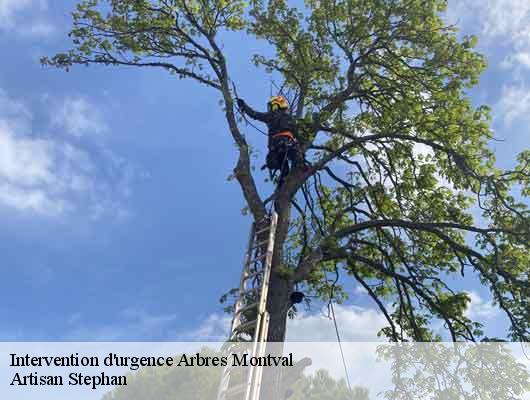 Intervention d'urgence Arbres 78160